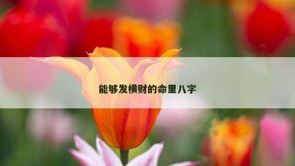 能夠發橫財的命里八字