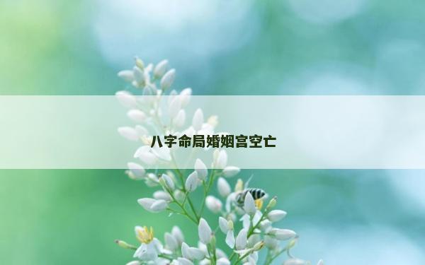 八字命局婚姻宮空亡