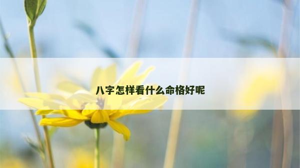 八字怎樣看什么命格好呢