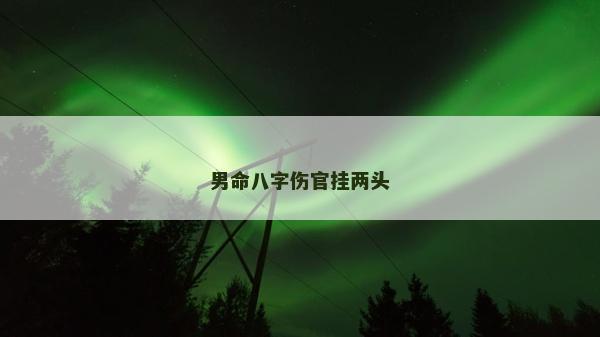 男命八字傷官掛兩頭