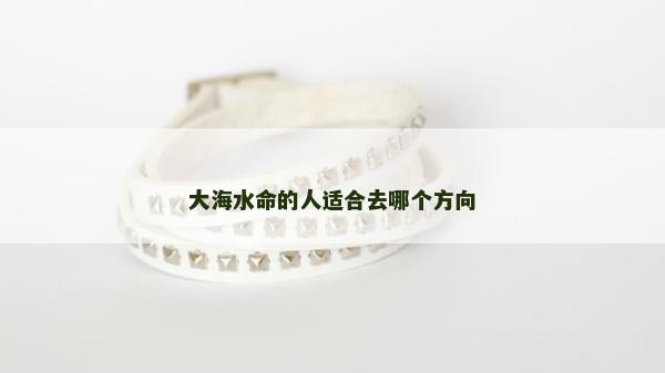大海水命的人適合去哪個方向