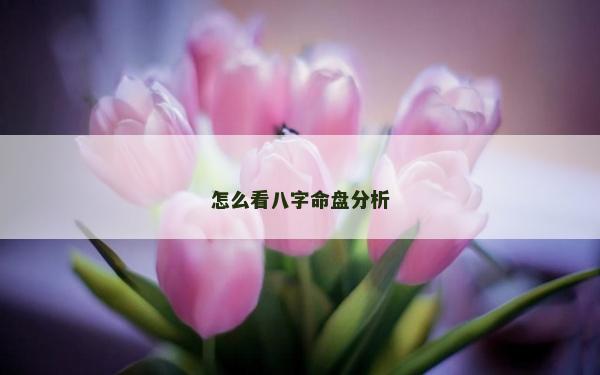 怎么看八字命盤分析