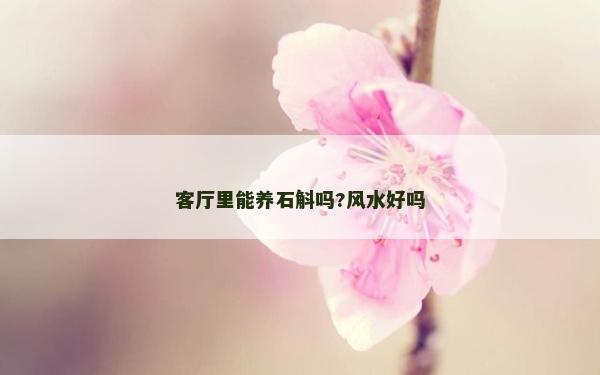 客廳里能養石斛嗎?風水好嗎