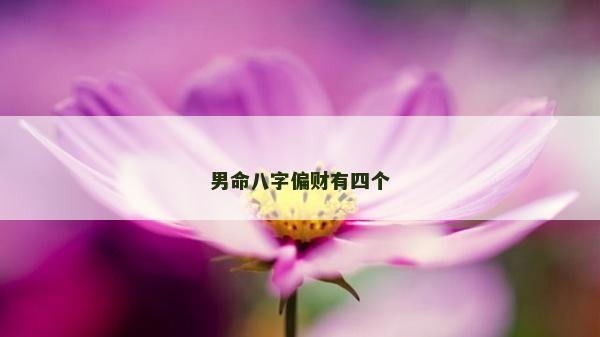 男命八字偏財有四個