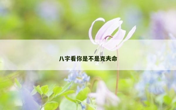 八字看你是不是克夫命