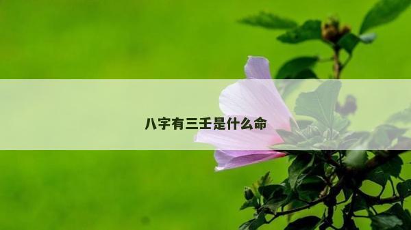 八字有三壬是什么命