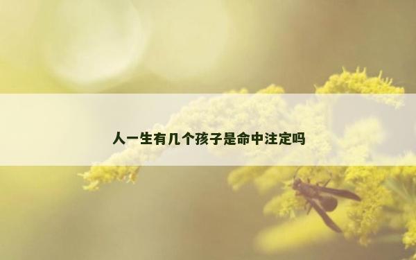 人一生有幾個(gè)孩子是命中注定嗎