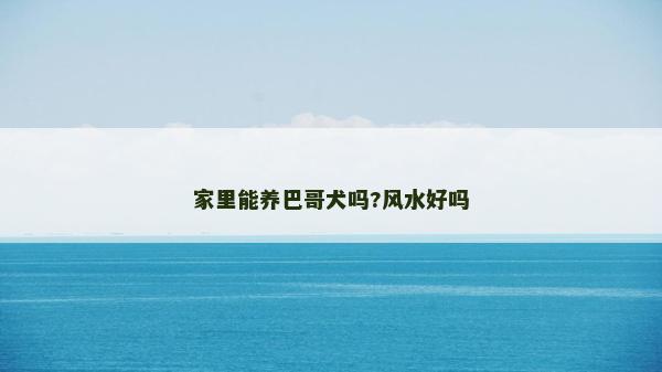家里能養(yǎng)巴哥犬嗎?風水好嗎