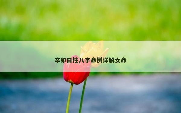 辛卯日柱八字命例詳解女命