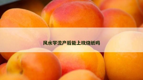 風(fēng)水學(xué)流產(chǎn)后能上墳燒紙嗎