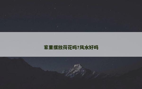 家里擺放荷花嗎?風水好嗎