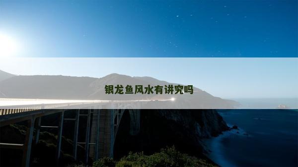 銀龍魚風水有講究嗎