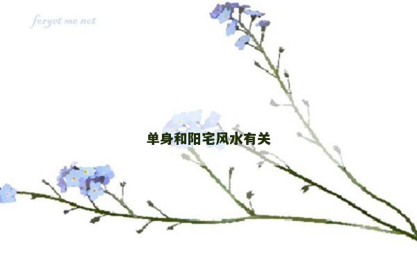 單身和陽宅風水有關