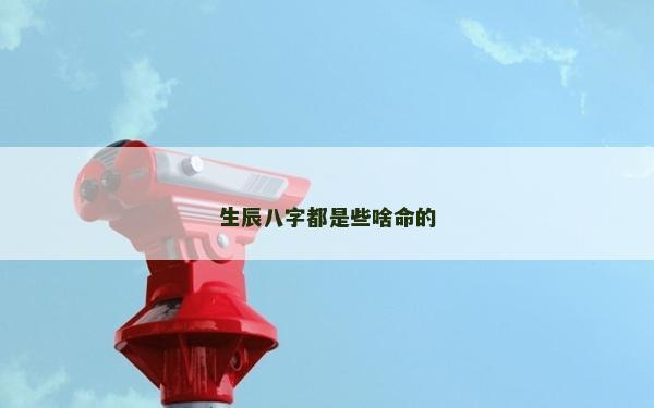 生辰八字都是些啥命的