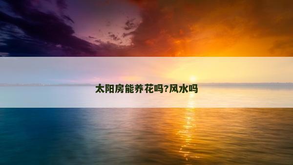 太陽房能養花嗎?風水嗎