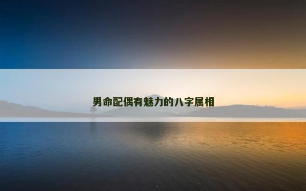 男命配偶有魅力的八字屬相
