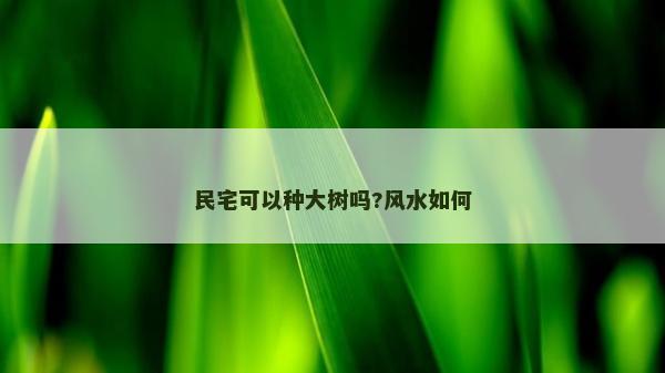 民宅可以種大樹嗎?風(fēng)水如何