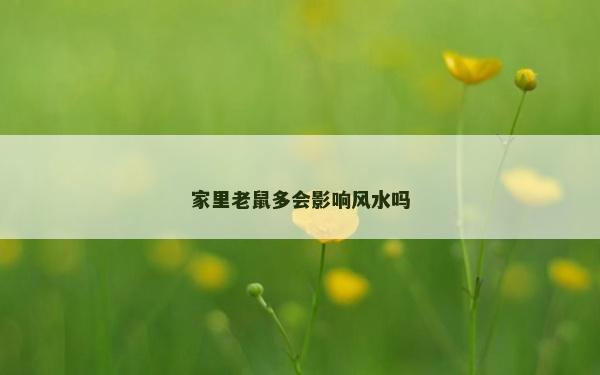 家里老鼠多會(huì)影響風(fēng)水嗎