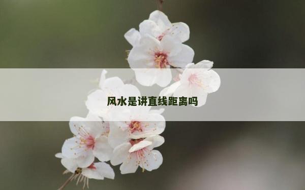 風水是講直線距離嗎