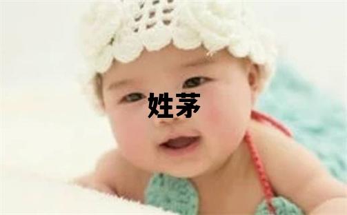 姓茅叫什么名字好 姓茅的男孩大氣文雅的名字
