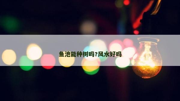 魚池能種樹嗎?風(fēng)水好嗎