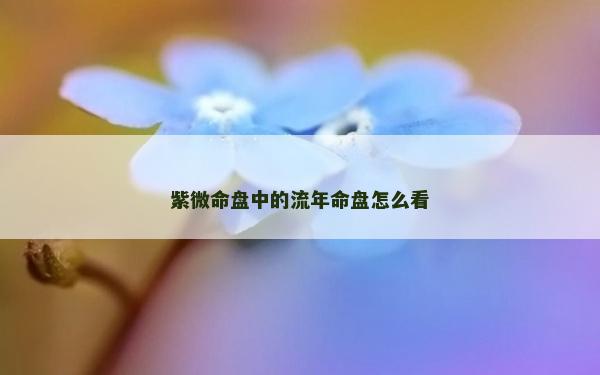 紫微命盤(pán)中的流年命盤(pán)怎么看