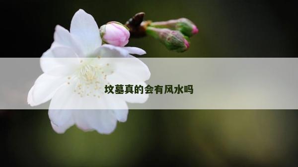 墳?zāi)拐娴臅?huì)有風(fēng)水嗎