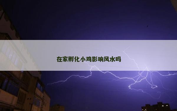 在家孵化小雞影響風水嗎