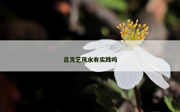 呂文藝風水有實踐嗎