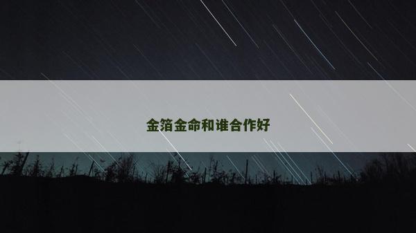 金箔金命和誰合作好