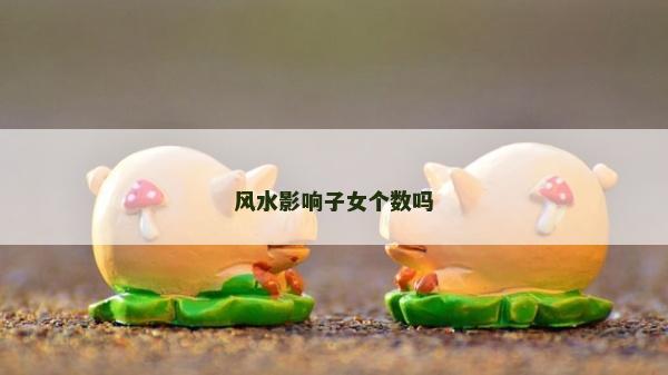 風水影響子女個數嗎