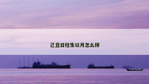 己丑日柱生以月怎么樣