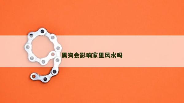黑狗會影響家里風水嗎