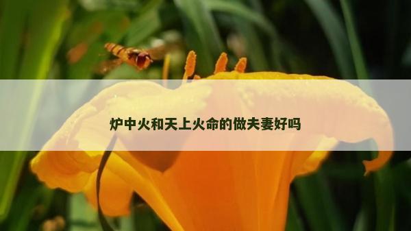爐中火和天上火命的做夫妻好嗎