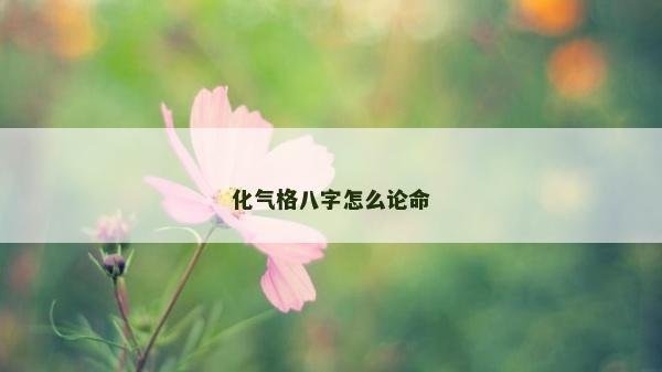 化氣格八字怎么論命