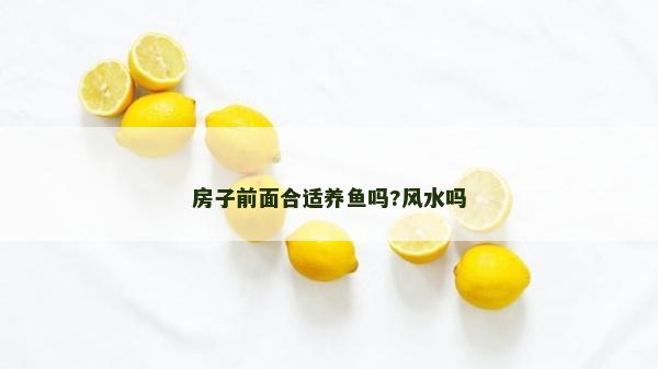 房子前面合適養魚嗎?風水嗎