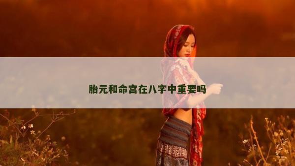 胎元和命宮在八字中重要嗎