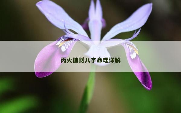 丙火偏財八字命理詳解