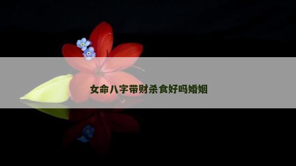 女命八字帶財殺食好嗎婚姻