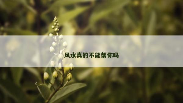 風水真的不能幫你嗎