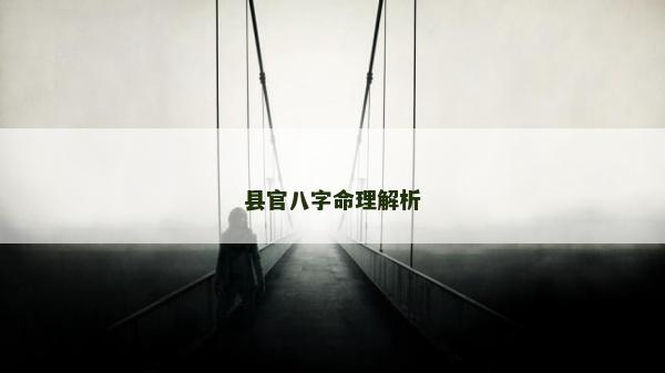 縣官八字命理解析