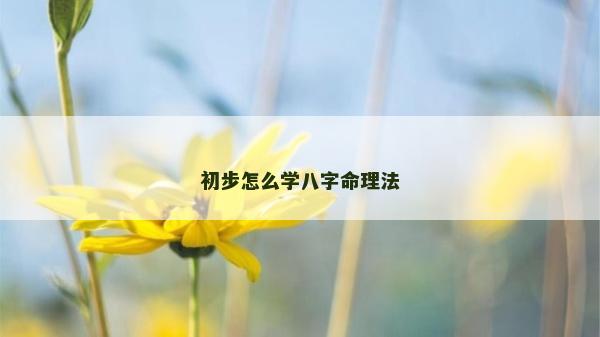 初步怎么學八字命理法
