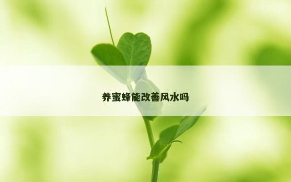 養蜜蜂能改善風水嗎