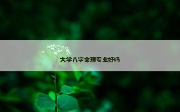 大學(xué)八字命理專業(yè)好嗎