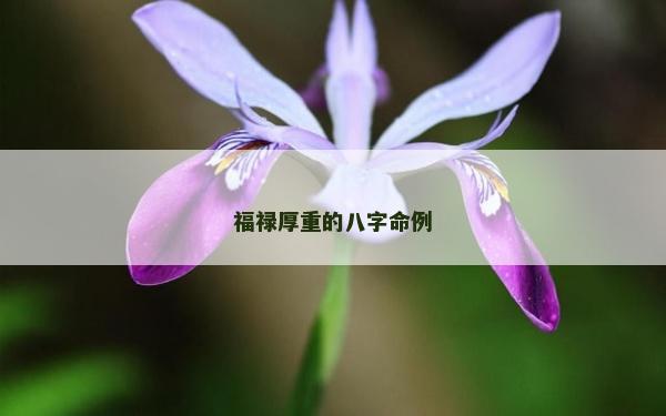 福祿厚重的八字命例