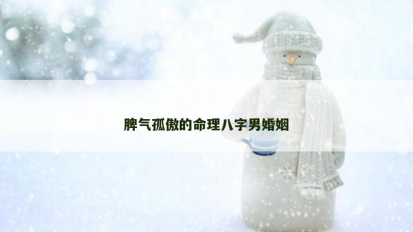 脾氣孤傲的命理八字男婚姻