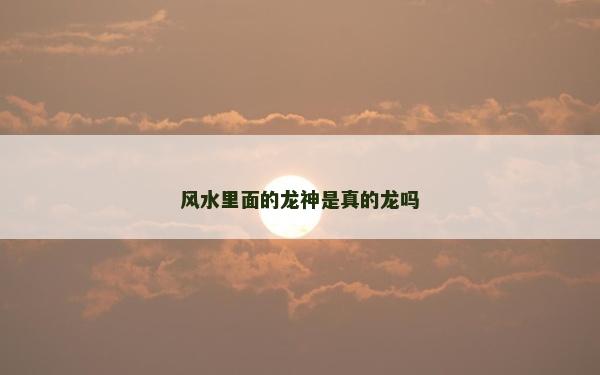 風水里面的龍神是真的龍嗎