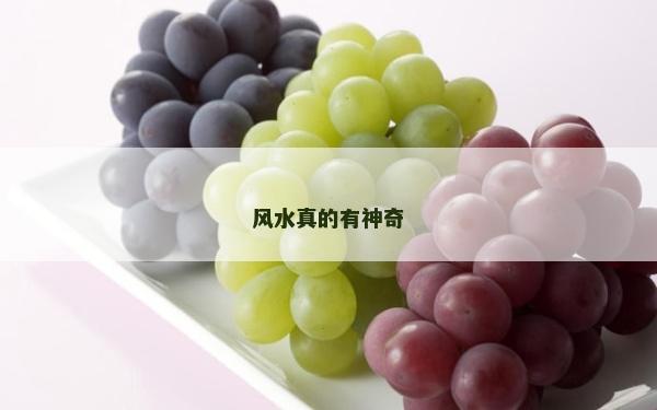 風水真的有神奇