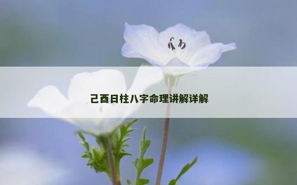 己酉日柱八字命理講解詳解