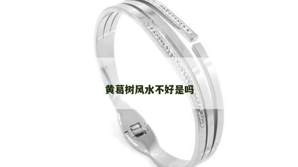 黃葛樹風水不好是嗎